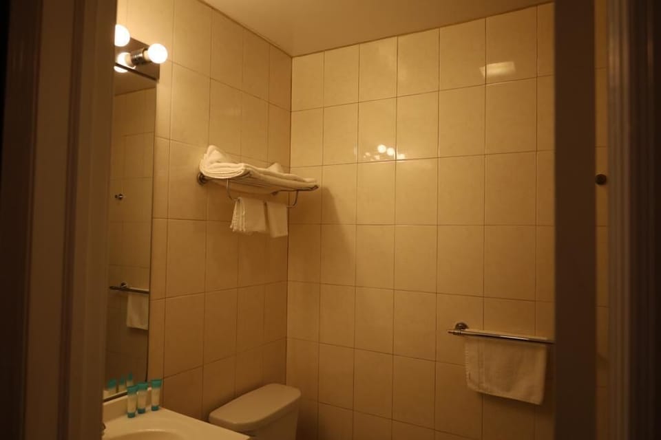 Deluxe Double Room | Bathroom | Combined shower/tub, free toiletries, hair dryer (on request), towels