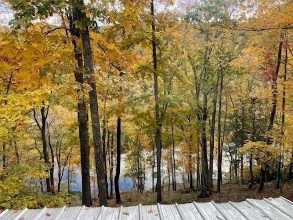 Views over the New River...