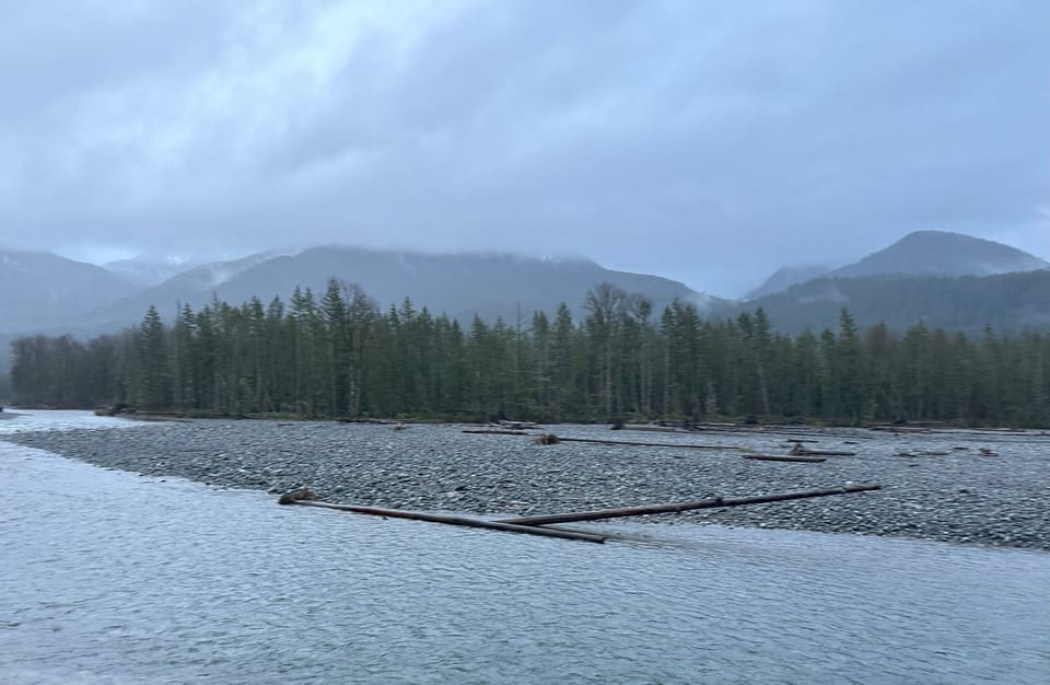 The Cowlitz River nearby