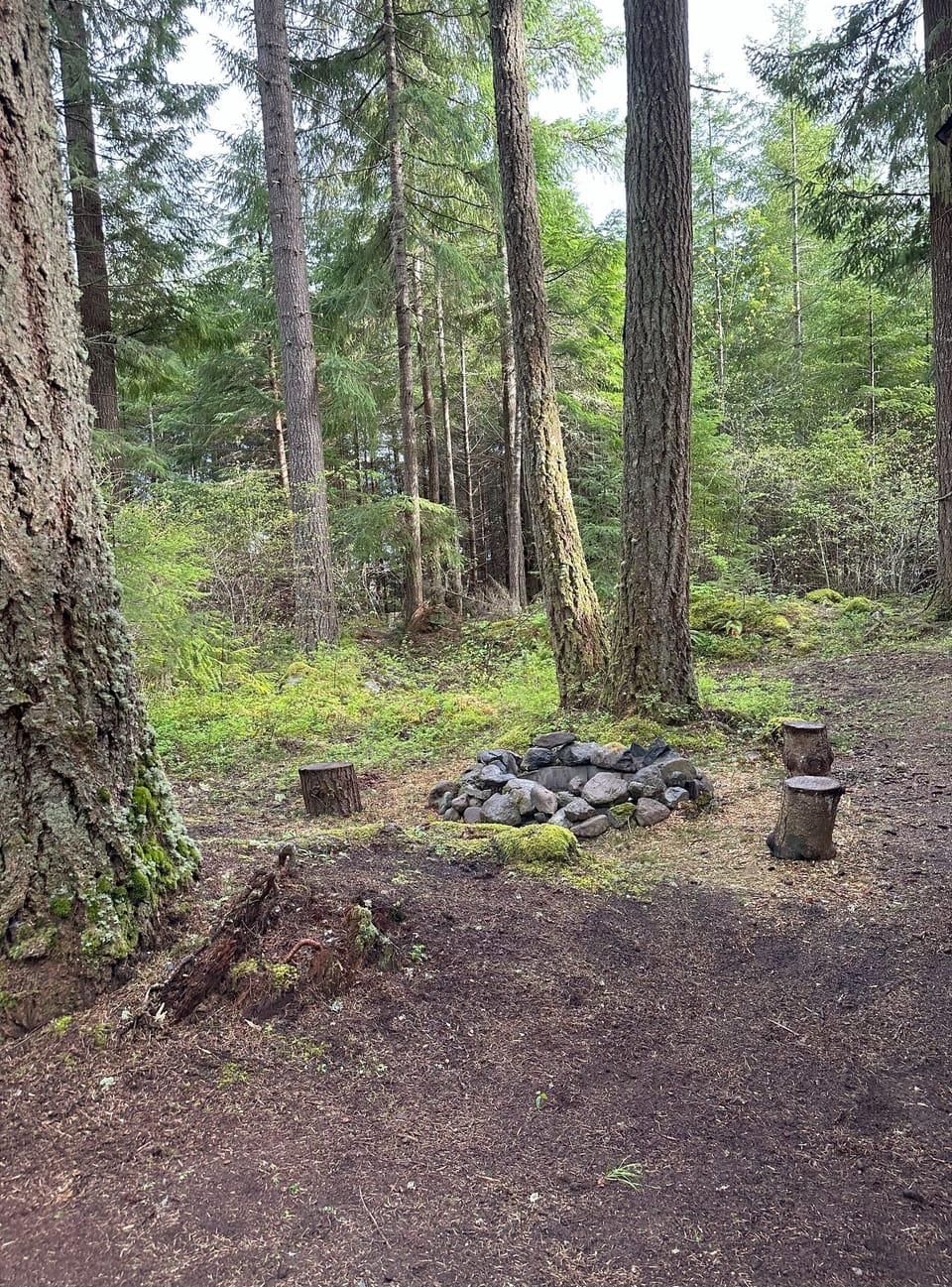 Large private fire pit in the woods 