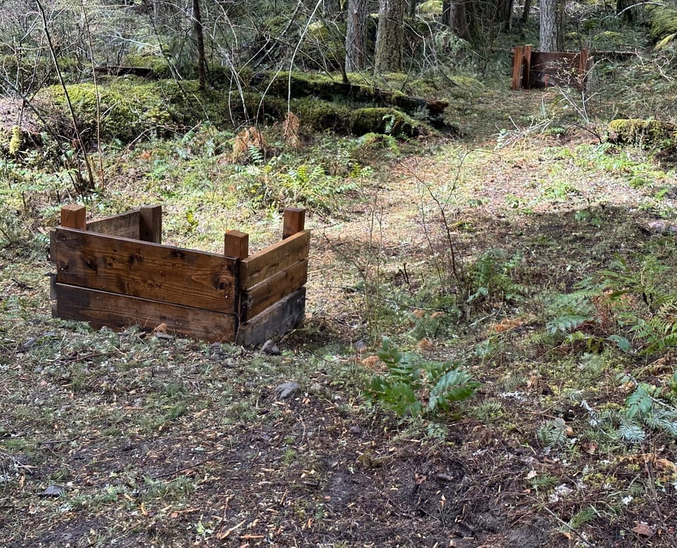 horseshoes in the forest