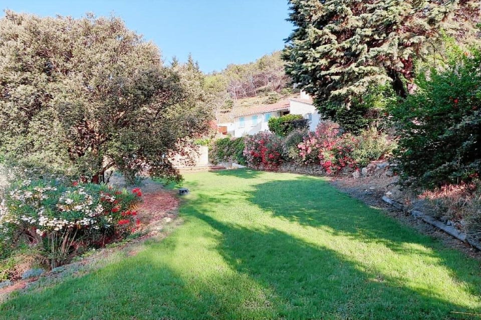 Garden [summer]