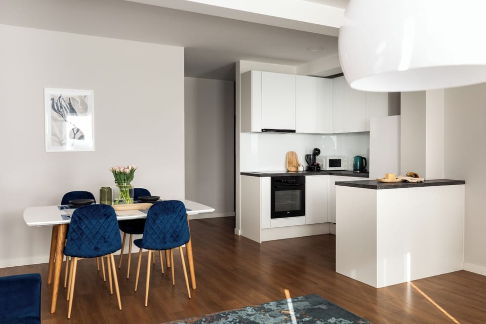 Basic Apartment | Private kitchen | Full-size fridge, oven, stovetop, dishwasher