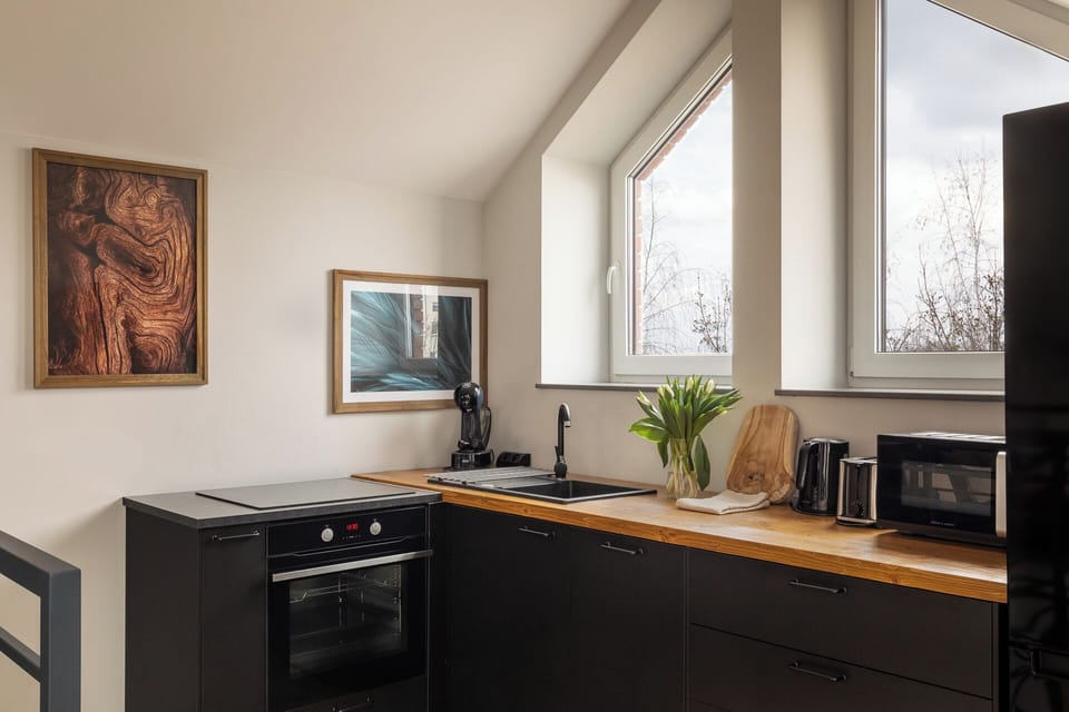 Basic Apartment | Private kitchen | Full-size fridge, oven, stovetop, dishwasher
