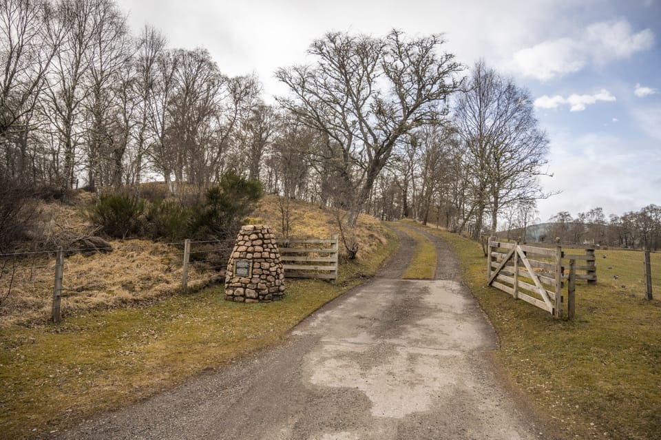 Croft Kincardine gate and driveway