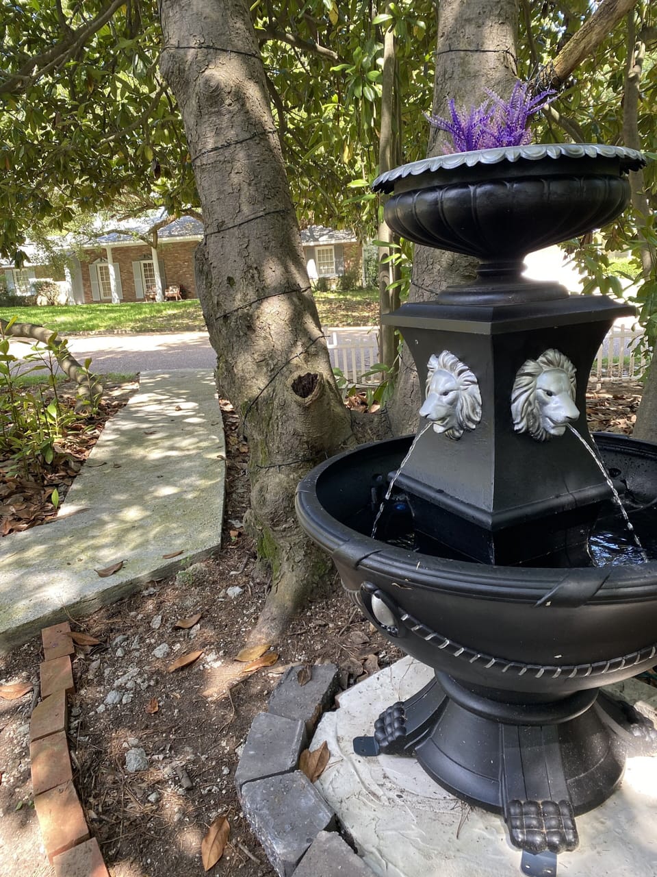 Walkway: Entrance to the suite