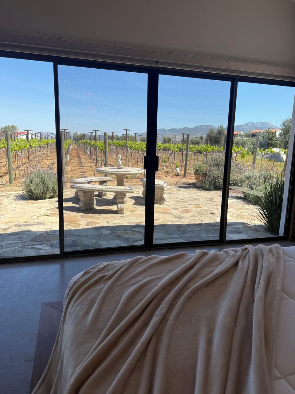 House, 4 Bedrooms, Non Smoking, Vineyard View | Premium bedding, iron/ironing board, free WiFi, bed sheets