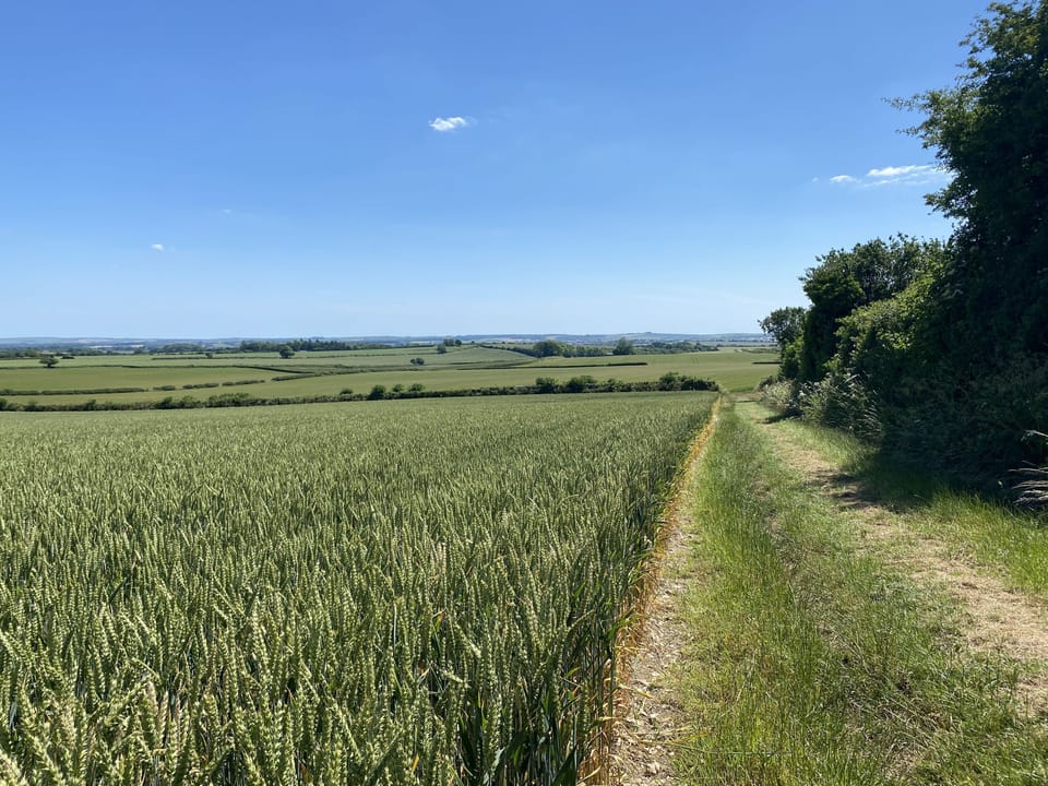Wonderful walks whilst listening to the bird song can be enjoyed all around
