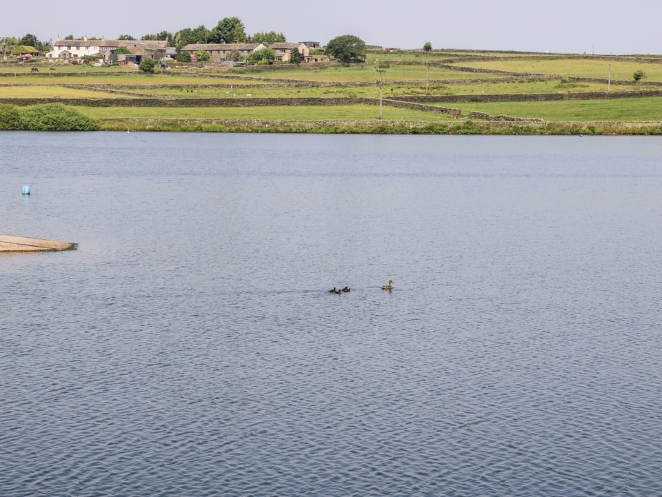 Cottage | Miscellaneous