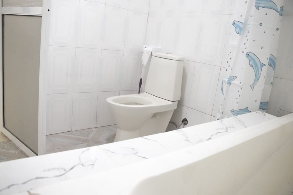 Combined shower/tub, towels