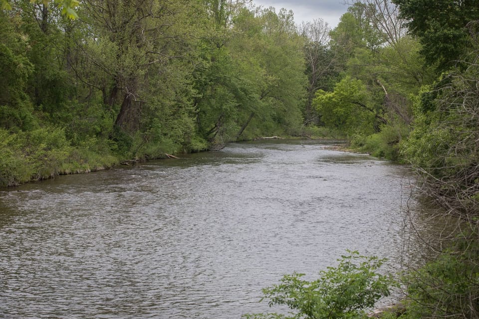 From the front porch, watch anglers, wildlife. Not accessible from rental