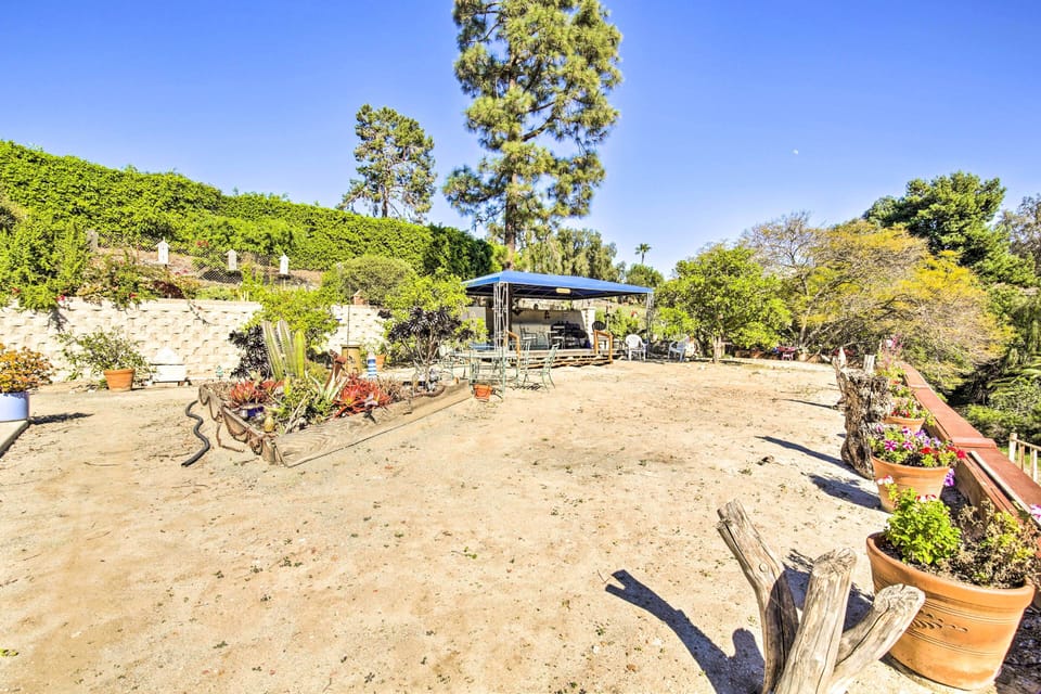 Apartment (0 Bedroom) | Interior