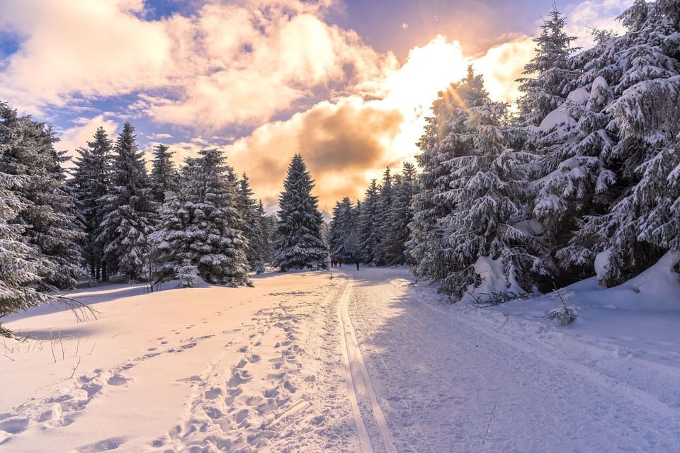 Snow and ski sports