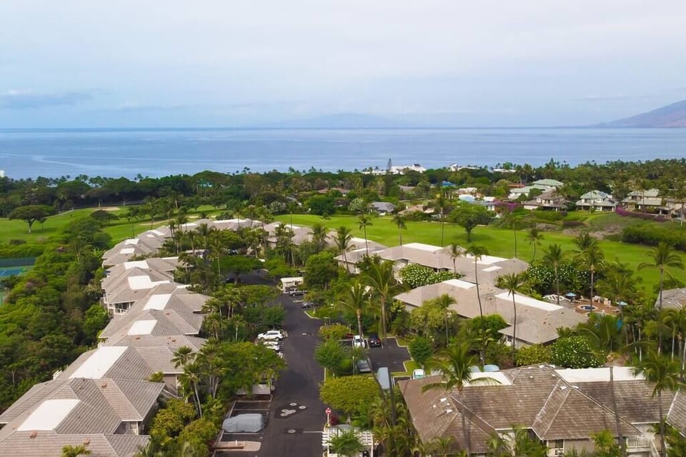 An overhead view of the complex with a view to the ocean