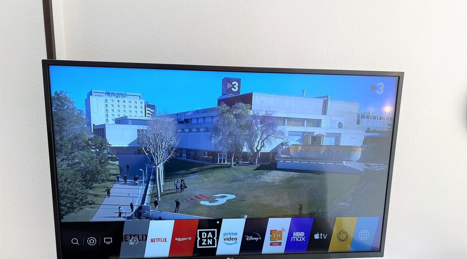 Television
