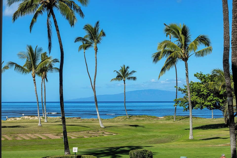 Ocean View from your private lanai looking West