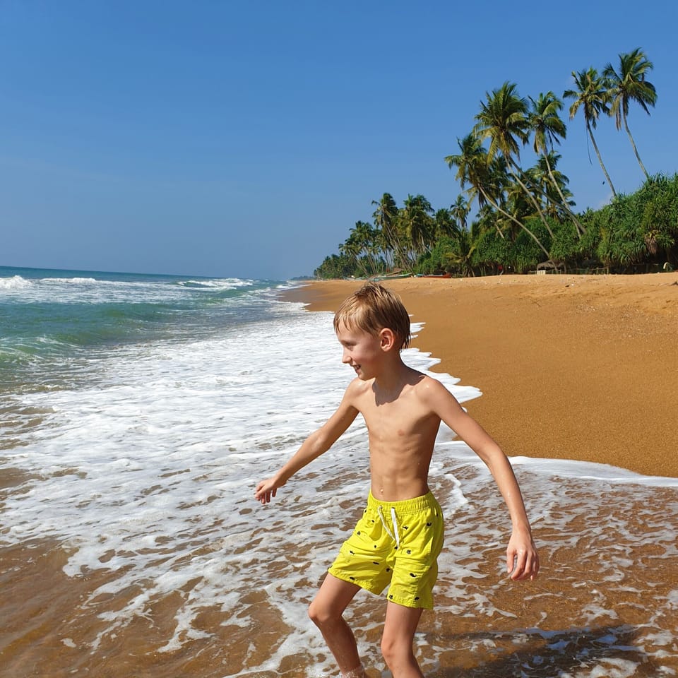 Dhammika Beach Palace Bed and Breakfast in Wadduwa