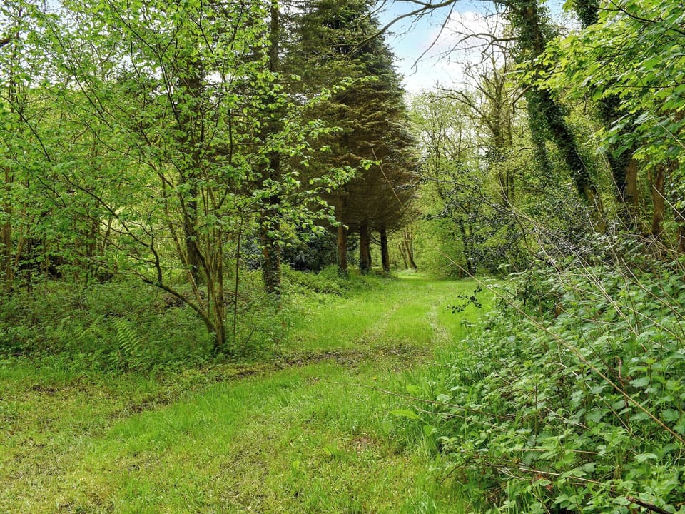 Garden and grounds | Goitre Farmhouse, Llanwrda