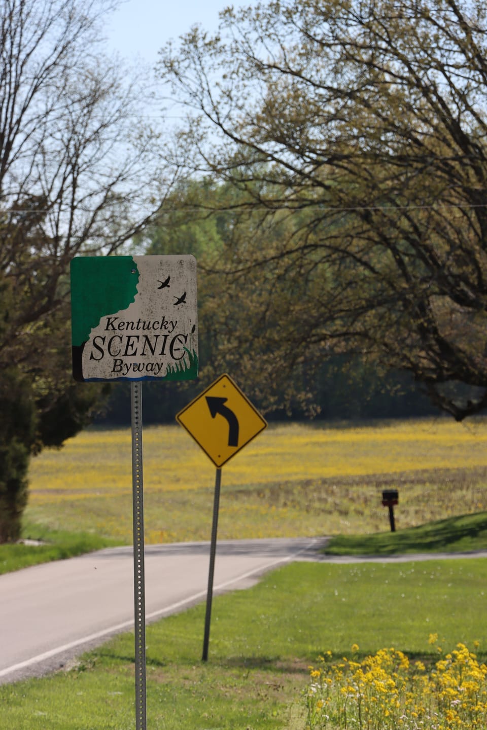 Enjoy the scenery as you explore the scenic byways.