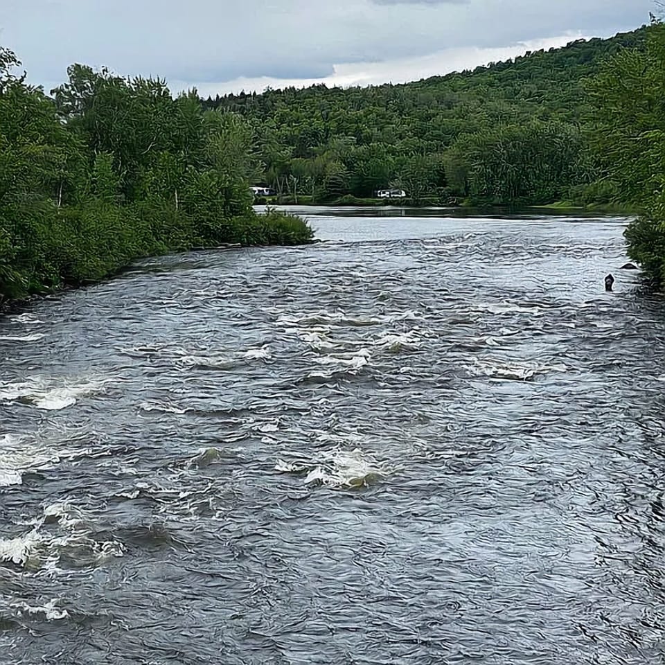 Androscoggin river next to house.  You can hear the river from the backyard.