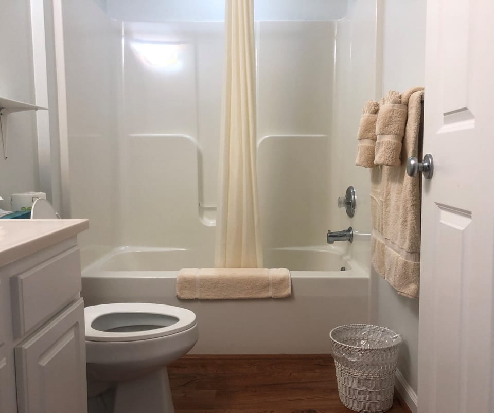 Combined shower/tub, free toiletries, hair dryer, towels