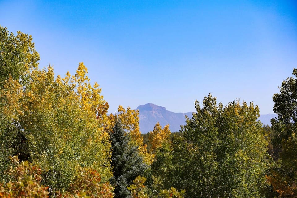 These views from the Balcony are breathtaking! Equestrien stables and trail riders are everywhere in this unique mountain neighborhood. Nature galore!