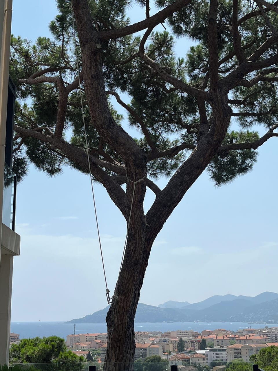 View from property
