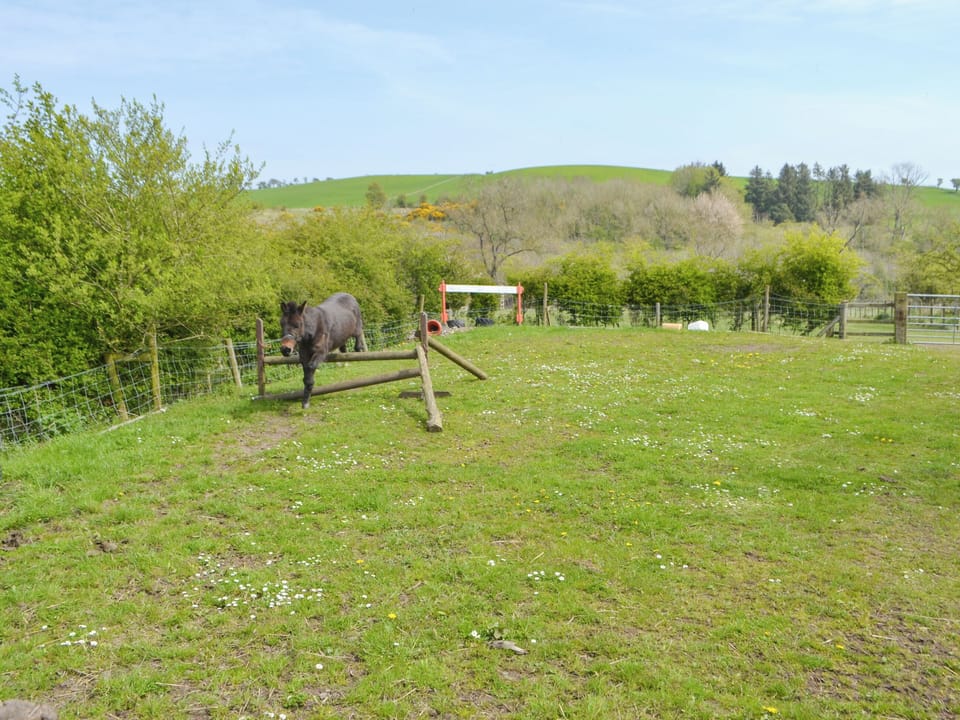Garden and grounds | The Workshop, Newton-on-the-Moor