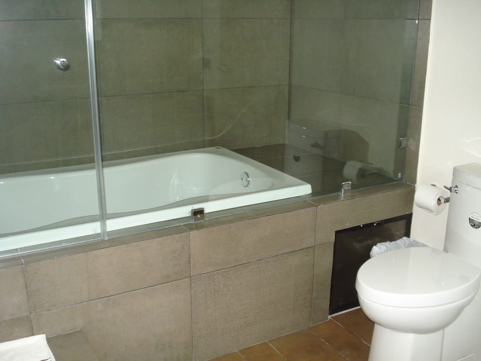 Suite | Bathroom | Free toiletries, hair dryer, towels