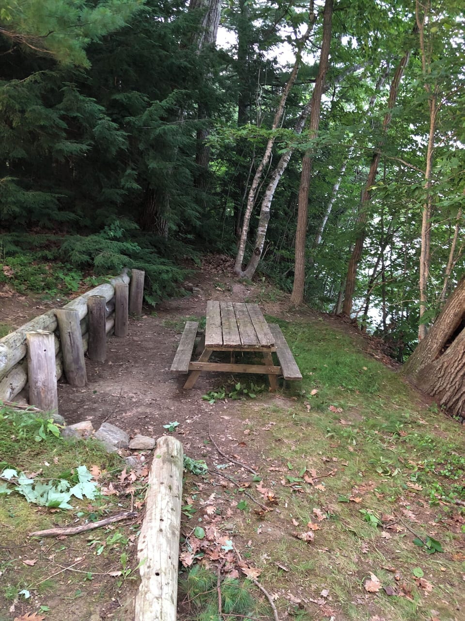 Picnic area. Big enough for a tent. 