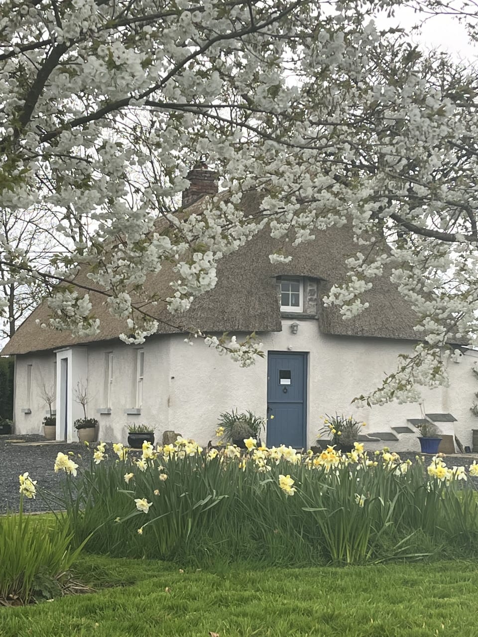 Traditional Irish thatched cottages beautifully restored