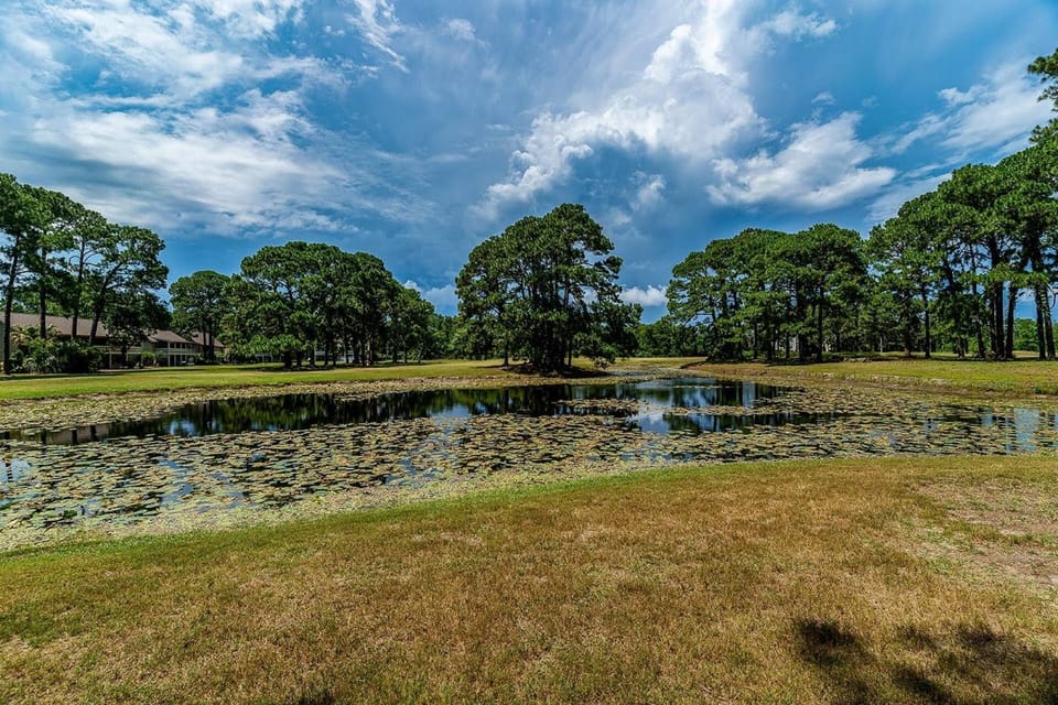 Lily Pad Pond in the backyard off of the 17th Hole