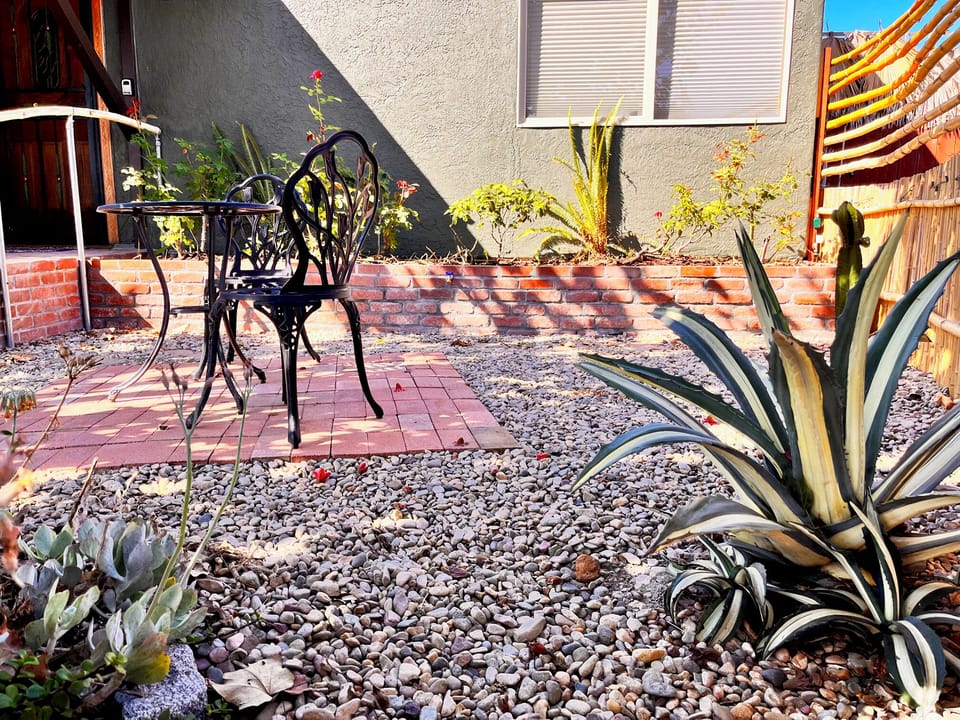 Private front yard with succulent garden