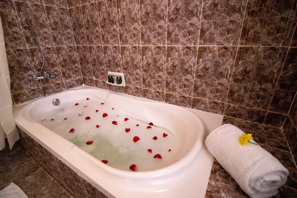 Separate tub and shower, rainfall showerhead, hair dryer, bidet