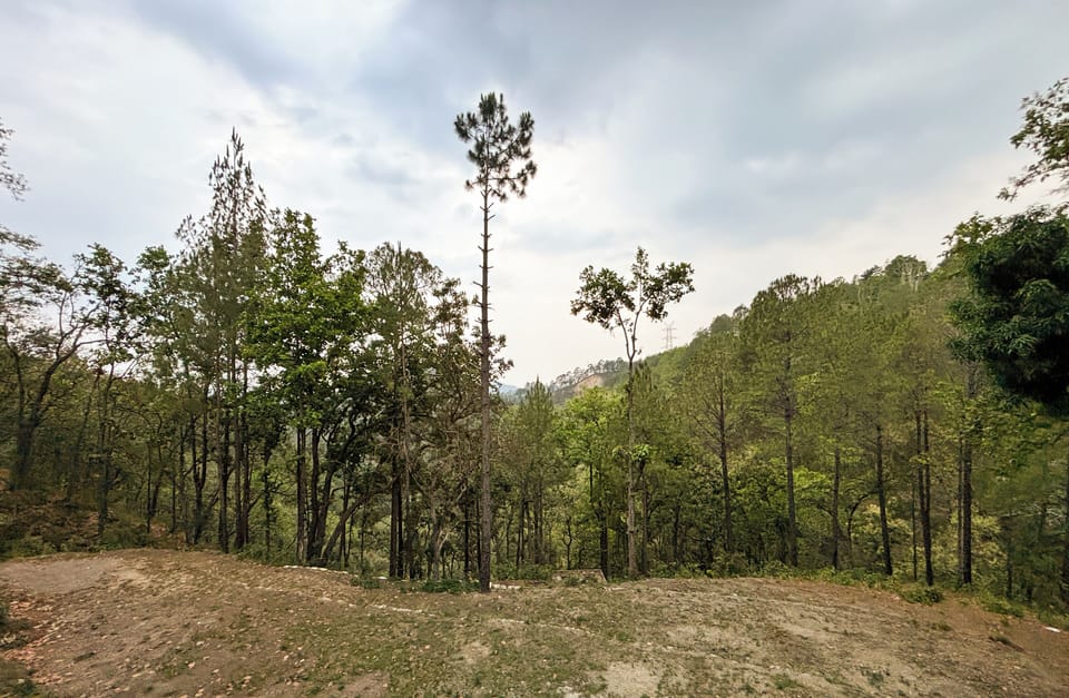 View from property