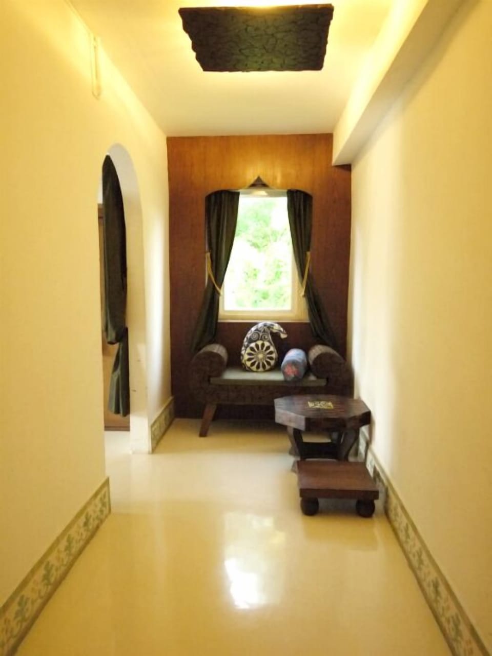 Sitting Cat | Living area | 29-inch flat-screen TV with satellite channels, TV, DVD player