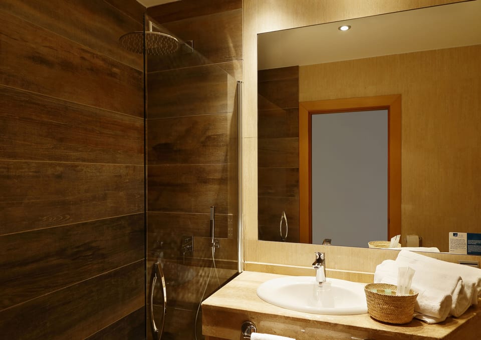 Shower, free toiletries, hair dryer, bidet