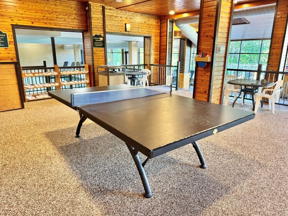 Ping Pong Table1