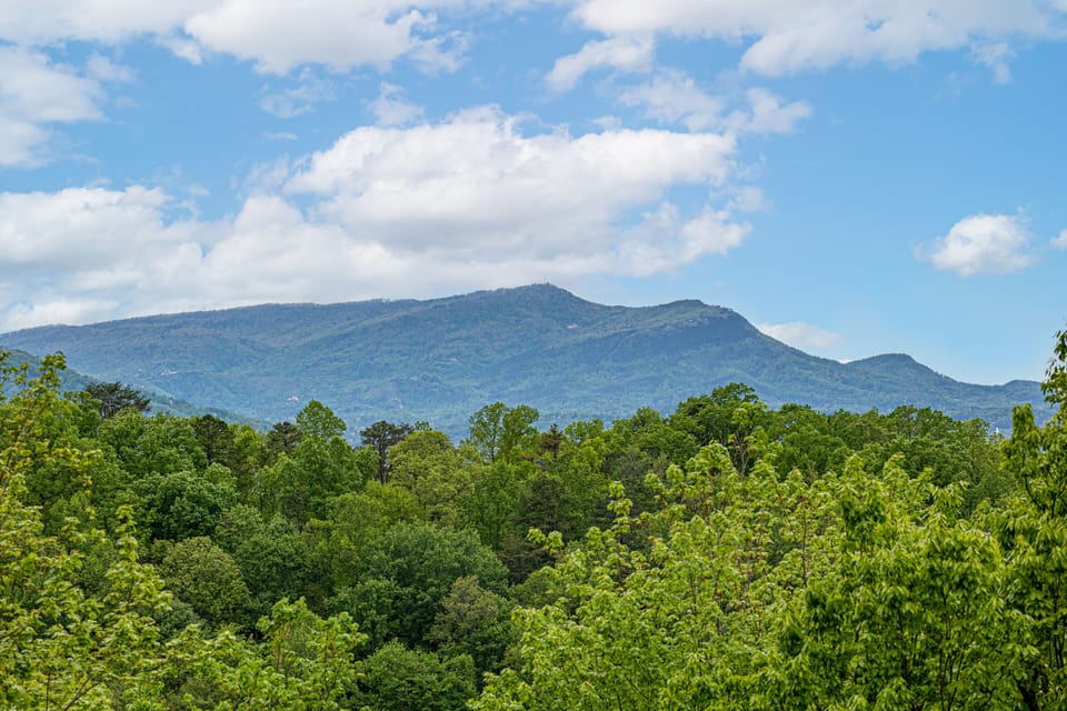 Views off the patio!