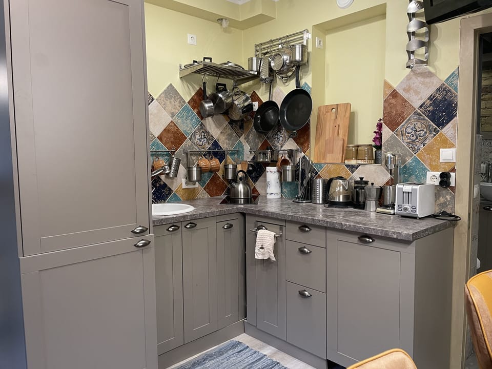 Basic Apartment | Private kitchen | Fridge, electric kettle, toaster, cookware/dishes/utensils