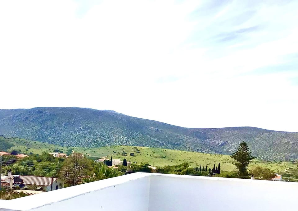 View from terrace