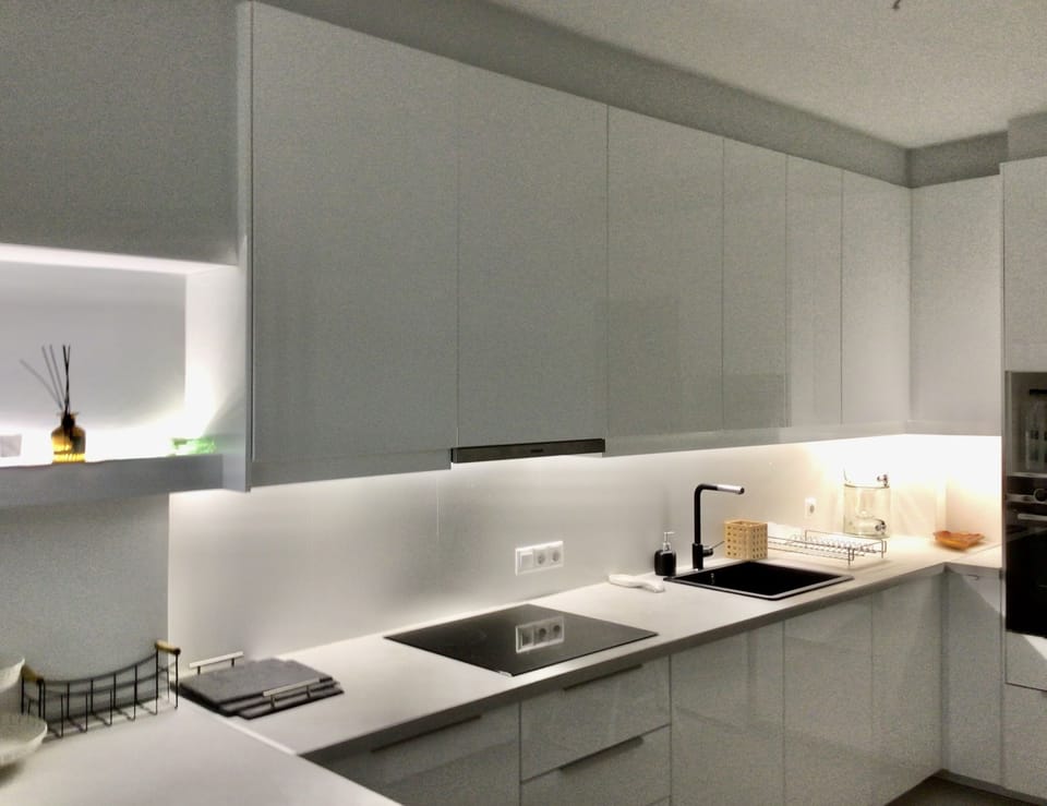 Modern fully equipped kitchen/ dishwasher/ fridge