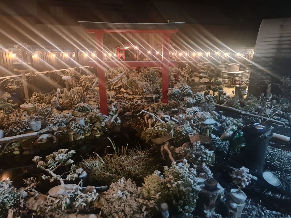 Winter nights are still cozy in our insulated heated pod.