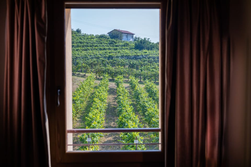 Junior Room (Deluxe) | View from room