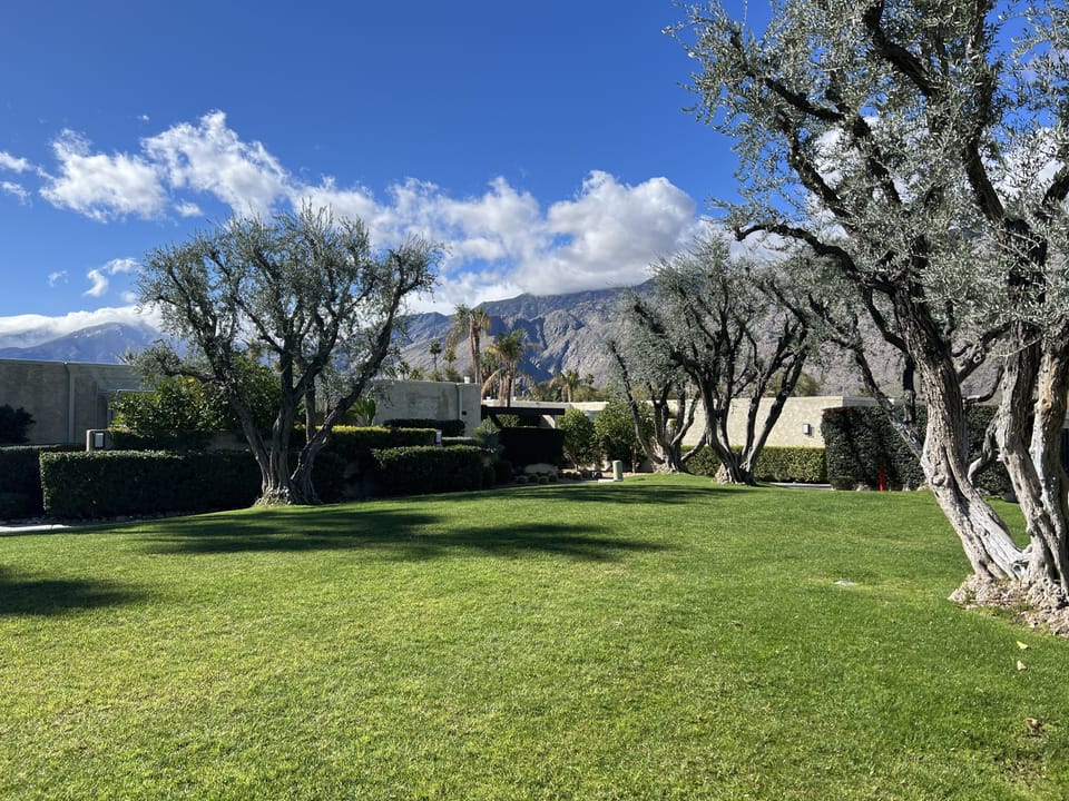 Morning view of the condo and the mountains 2 07 24