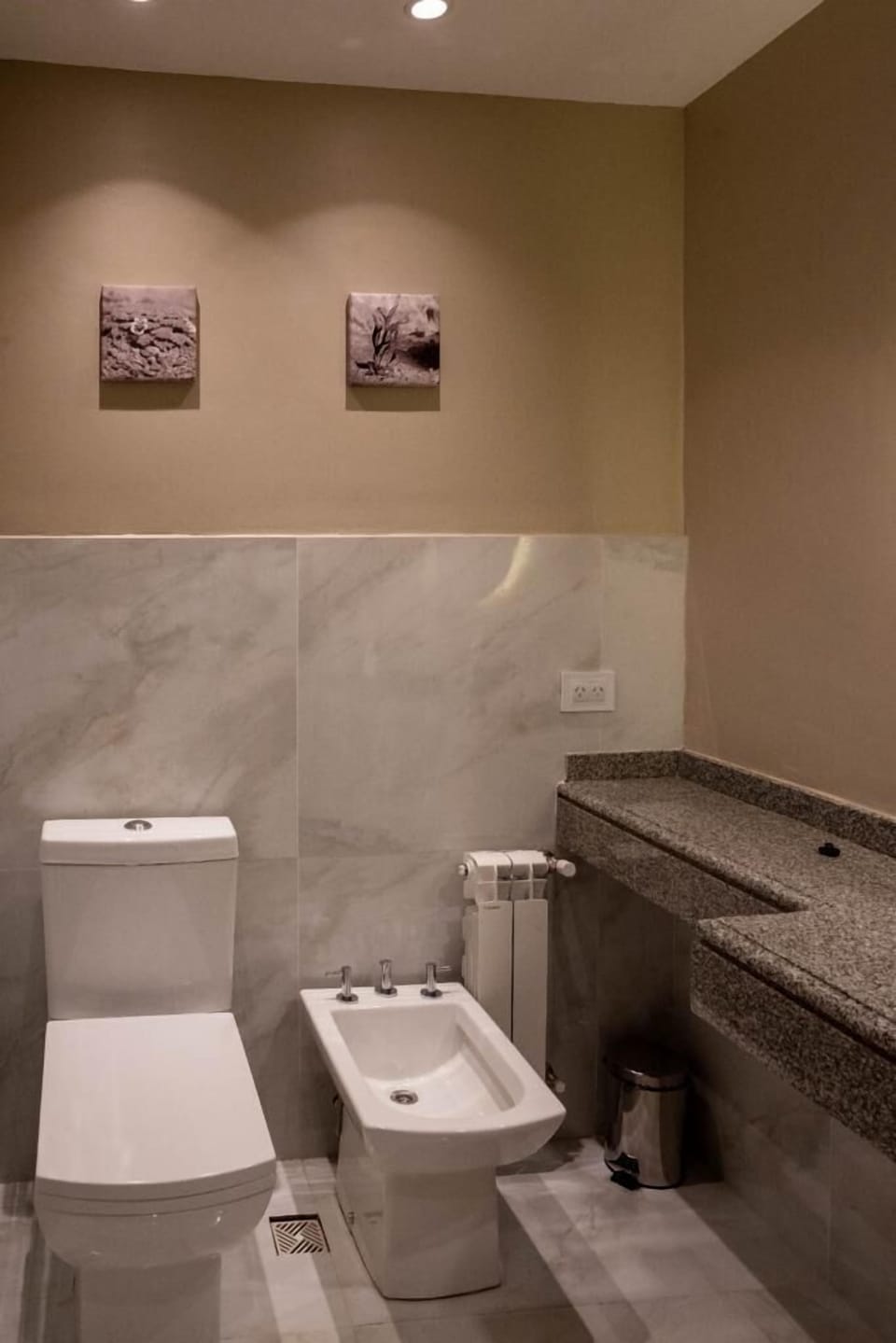 Hair dryer, bidet, towels, soap