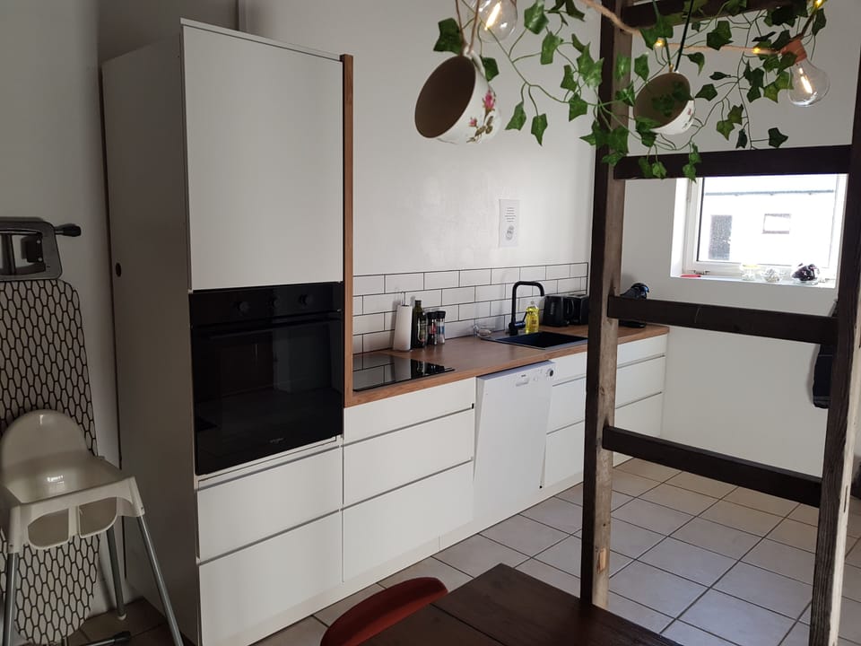 Comfort Apartment, 3 Bedrooms, Private Bathroom | Private kitchen | Full-size fridge, microwave, oven, stovetop