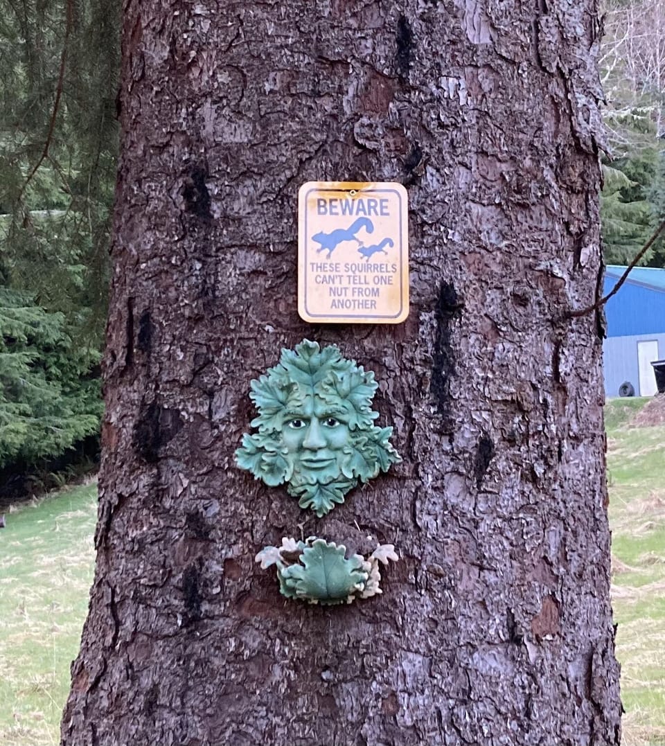 coming up the driveway