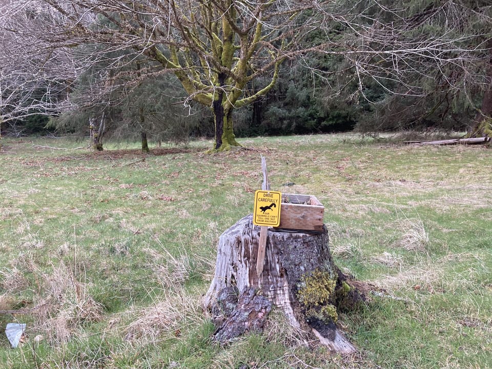 just a stump in the field