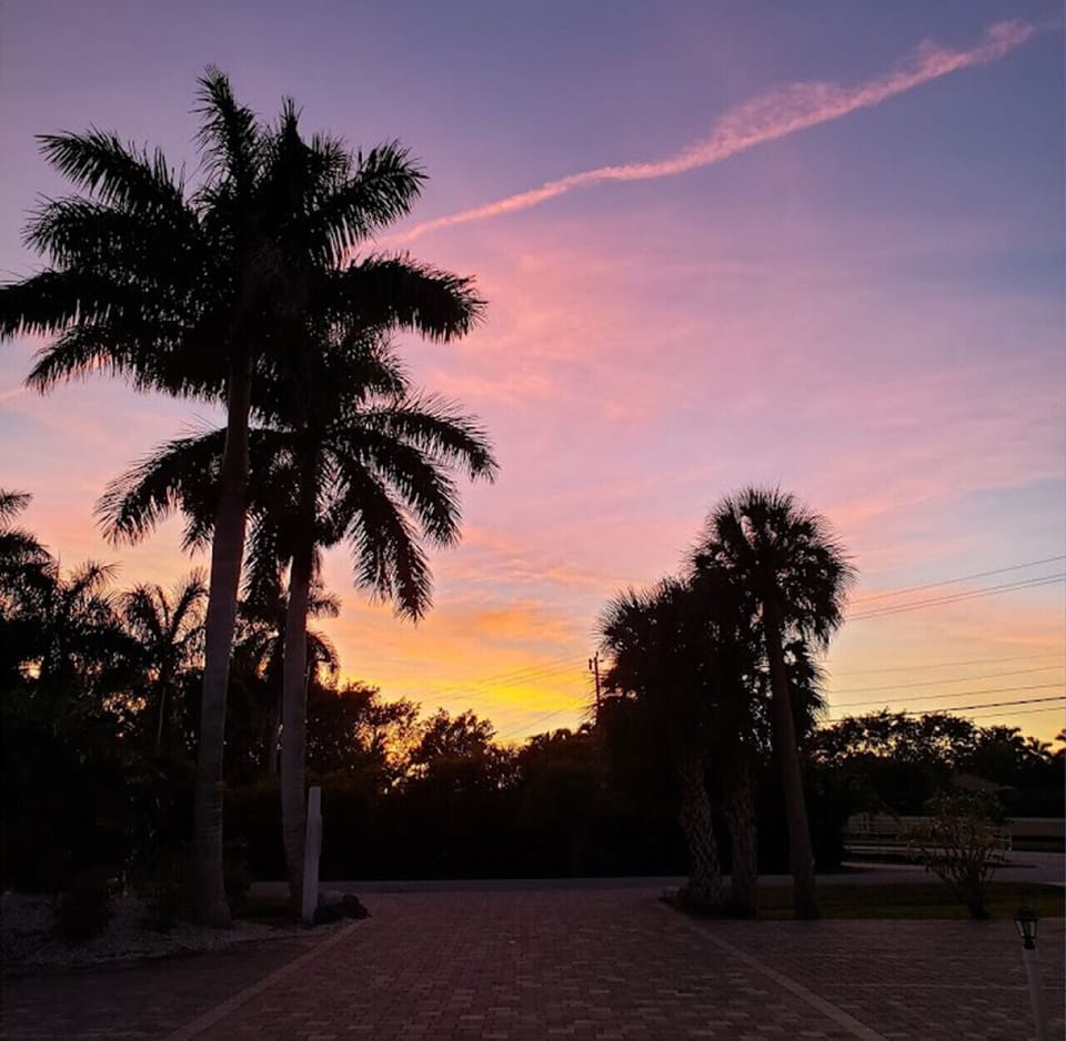 Tropical palm silhouettes offering a peaceful sunset view for guests.